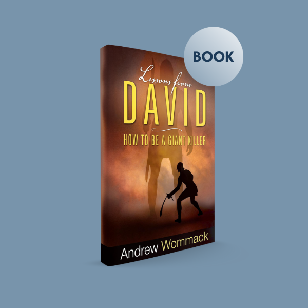 Men's Advance S1 - Lessons from David – Book
