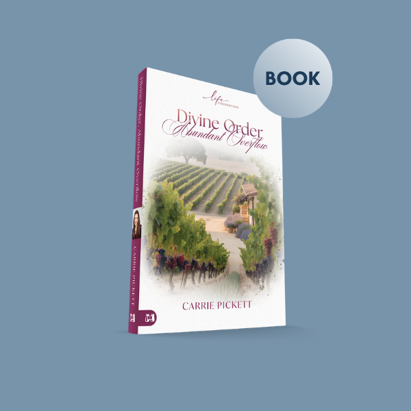 Life Foundations S17 - Divine Order, Abundant Overflow - Book