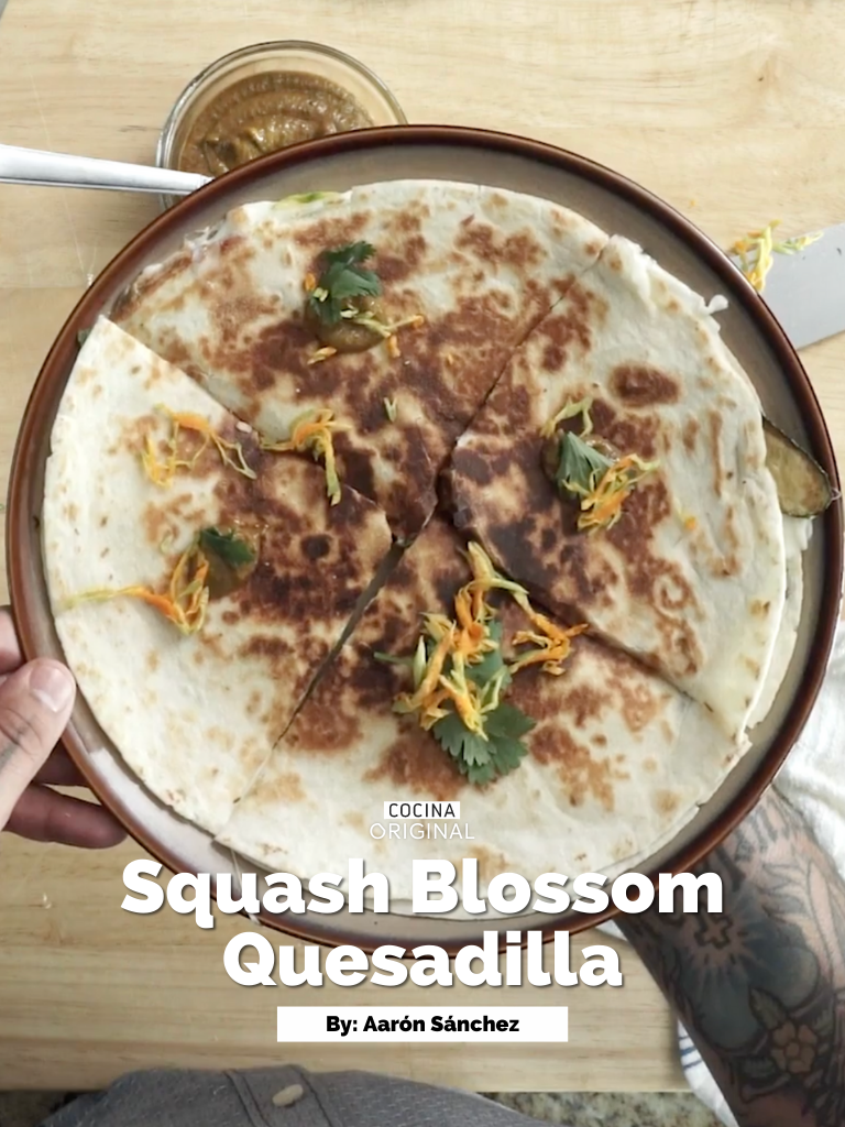 Aar&oacute;n&rsquo;s Squash Blossom Quesadilla